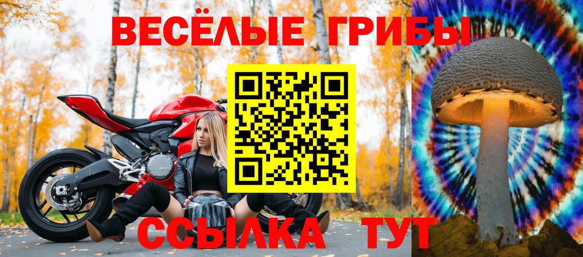 Псилоцибиновые грибы мицелий Тольятти